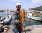黒島の磯　ヤエンで良型アオリイカ
