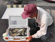 黒島の磯　アイゴ＆アオリイカＷ狙い