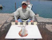 黒島の磯　ヤエンで2.0kgオーバーのアオリイカ