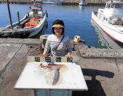 衣奈のカセ・筏のアオリイカ釣果