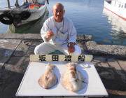 衣奈のカセ・筏のアオリイカ釣果