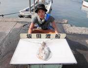 黒島の磯　エギングでアオリイカ〜1.6kg…