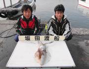 黒島の磯　ヤエンでアオリイカ2.3ｋｇ