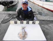 黒島の磯　エギングでのアオリイカ釣果