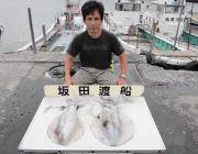 2キロオーバー！　黒島の磯でのヤエン釣果