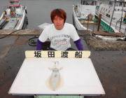 ヒットカラーはイワシ！黒島の磯でエギング