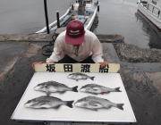 黒島の筏　チヌ〜42cm5匹の釣果