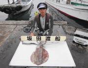 黒島の磯　アオリイカ～2.7kg