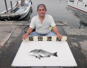 黒島の筏　チヌ49㎝をキャッチ