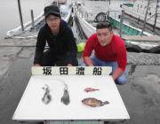 エギングで1.9ｋｇのアオリイカ☆　黒島の磯