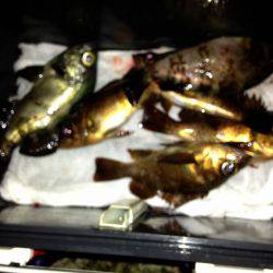 【まだまだ寒いです】塩屋海岸メバル浮き釣り