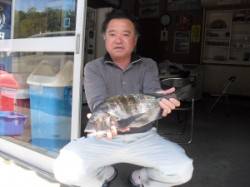 キハチ磯、フカセでチヌ5枚・アイゴ2匹の釣…