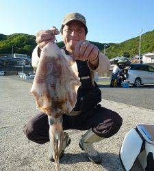 神谷 ヤエンでアオリイカ〜1.2kgの釣果