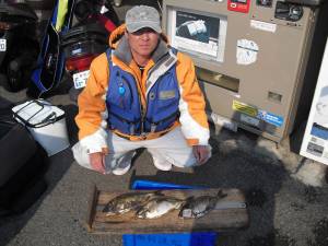 大磯 フカセ釣りでアイゴ〜30cm3匹