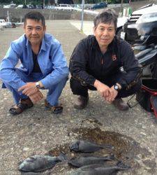 串本の磯 フカセでグレ〜41cm5匹