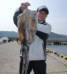 神谷一文字 夜通し便でヤエンのアオリ楽しめる