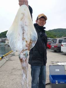 神谷一文字 エギングでアオリイカ1.7kg…