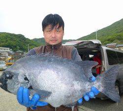 神谷一文字 ウキ釣りにイシダイ60cmがヒット