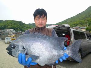 神谷一文字 ウキ釣りにイシダイ60cmがヒ…