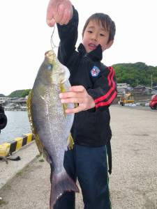 神谷一文字 カゴ釣りでイサギ38cm