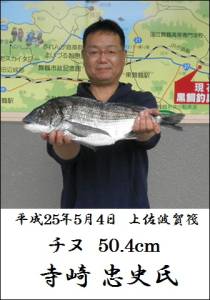 上佐波賀 年無しチヌ50.4cm