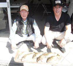 大磯 フカセでアイゴ5匹＆マアジ27cm