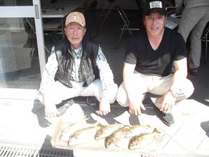 大磯 フカセでアイゴ5匹＆マアジ27cm