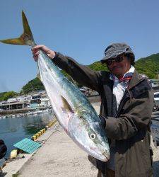飲ませで大物★★ブリ95cm！★★