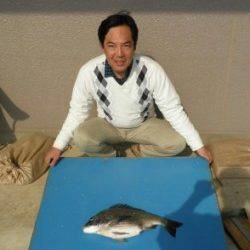 野原の磯でオキアミフカセ、チヌ49cmとグレ10匹の釣果