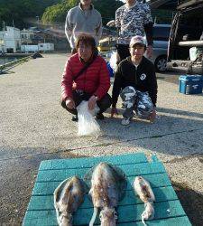 神谷一文字　ヤエンでアオリイカ〜2.2kg