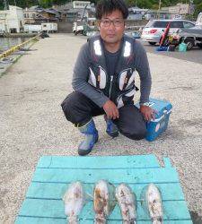 神谷工場裏、ヤエン釣果　〜アオリイカ〜