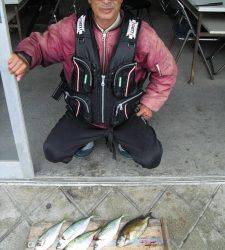 大磯で良型アジをフカセ釣りで♪