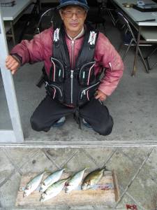 大磯で良型アジをフカセ釣りで♪