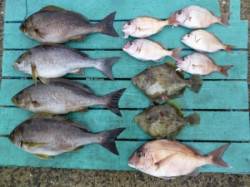 沖一文字外向き、カゴ釣りでイサギ・マダイ・…