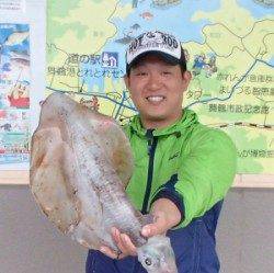 高浜周辺波止 エギングでアオリイカ2.3kg出た