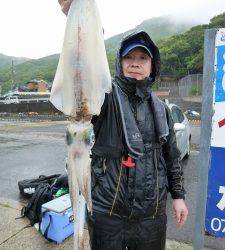 神谷工場裏　ヤエンでアオリイカ700g