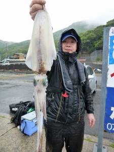 神谷工場裏　ヤエンでアオリイカ700g