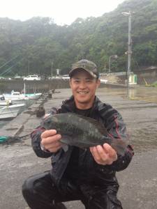 串本の磯グレ、雨の中釣れましたヽ(^o^)…