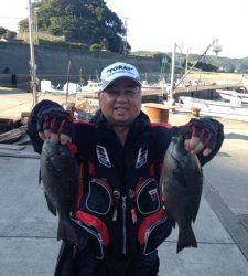 コレバイ・フタワレ大島でのフカセ釣果☆