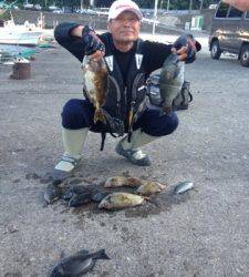 コレバイ・フタワレ大島でのフカセ釣果☆