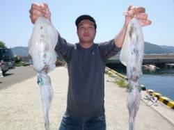 〜アオリイカシーズン中〜神谷一文字でエギン…