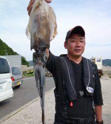 工場裏でヤエン・好調続いています♪