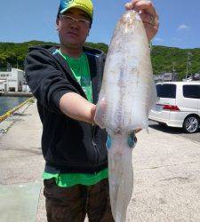 神谷一文字　ヤエンでアオリイカ〜2.4kg