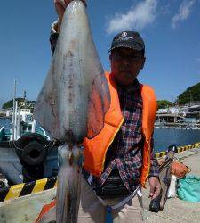 神谷一文字　ヤエンでアオリイカ〜2.4kg
