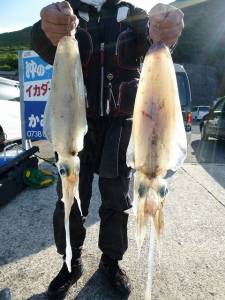 沖一文字内向きで夜通し、アオリイカのウキ釣…