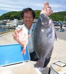沖一文字でのカゴ釣り、グレ43cm
