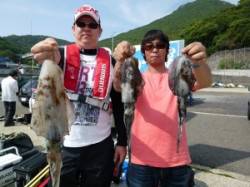 神谷一文字　エギングでアオリイカ〜900g…