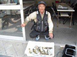 カノクビ磯でフカセ、アイゴやマルハゲの釣果☆