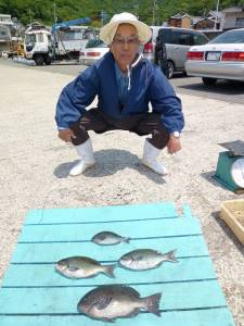 神谷一文字　カゴ釣りでイサギ・カワハギ・グレなどの釣果