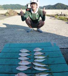 沖一文字でカゴ釣り、小ダイにナイスサイズのイサギも